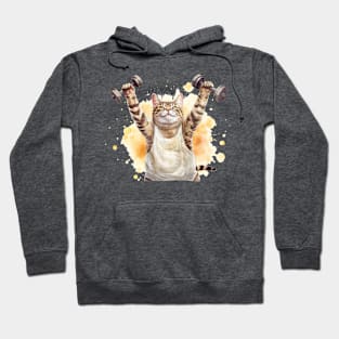 funny aerobic step cat in the gym Hoodie